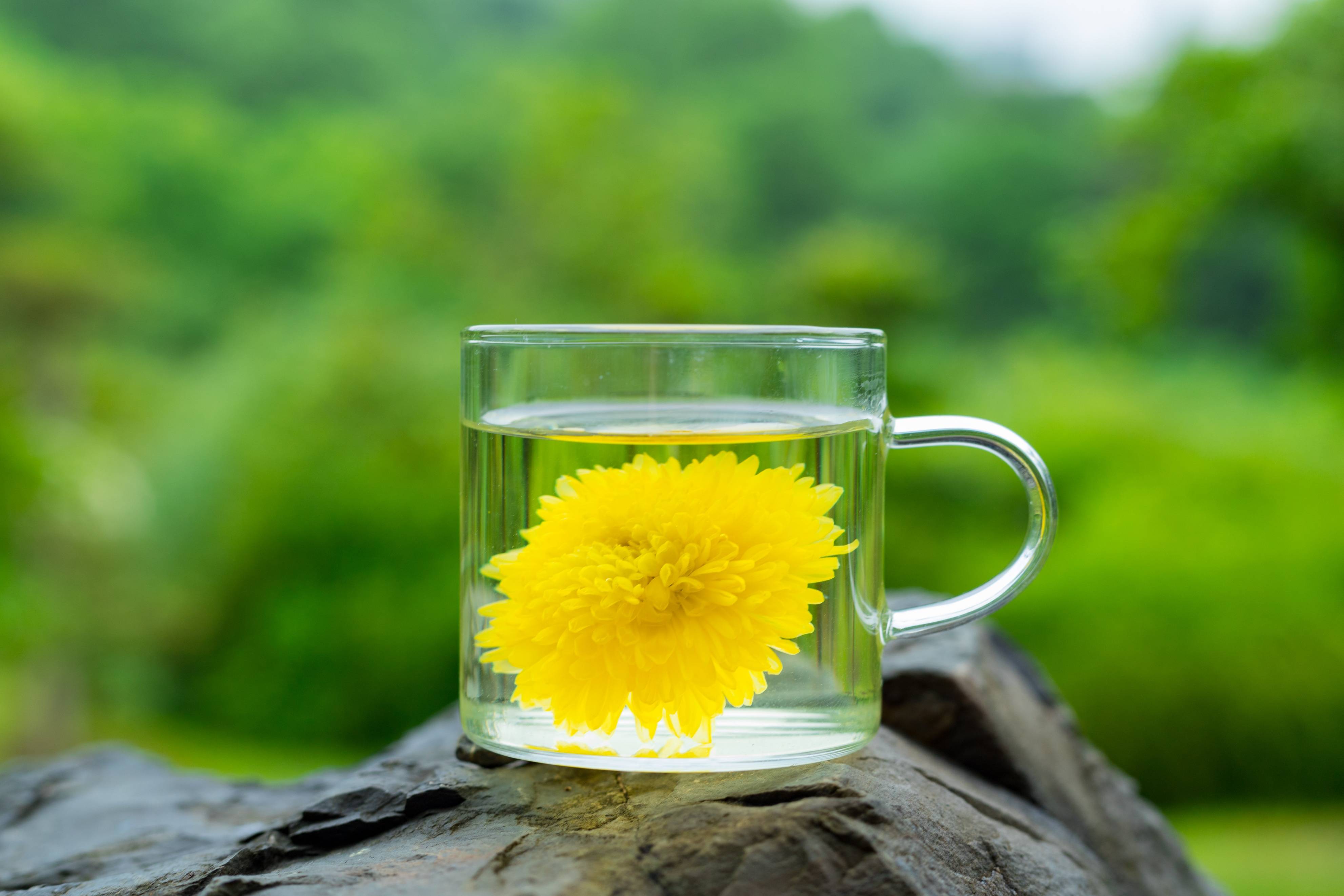 50岁广东大叔20年如1日喝茶悟出2个真相建议了解下