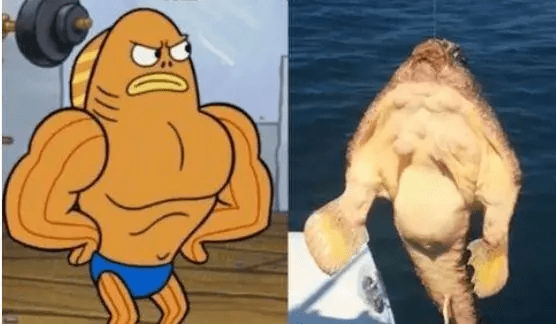 反正看不见就长得随意点,不影响口感就行_鮟鱇_灯笼_深海