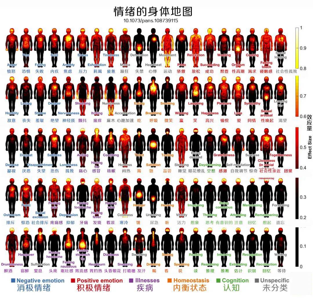 100种情绪的身体地图,解开情绪的密码!