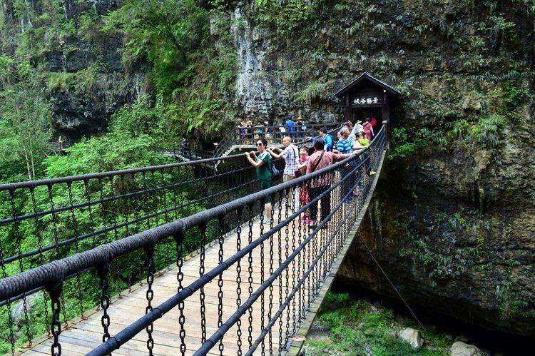 河北4A峡谷走红，景区内植物种类高达上千种，堪称太行一绝