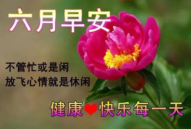 6月1日清晨早上好问候祝福动态表情图片6月最新早安问候祝福图片带字
