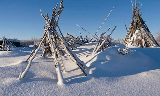 让伐木工们找到了"打牙祭"的最好对象——杨拉罐
