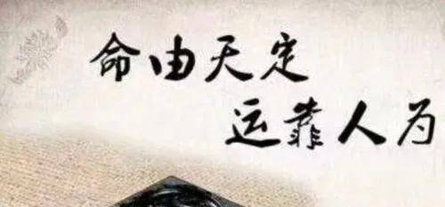有句话说人各有命命运到底由什么决定事情都是命中注定的吗