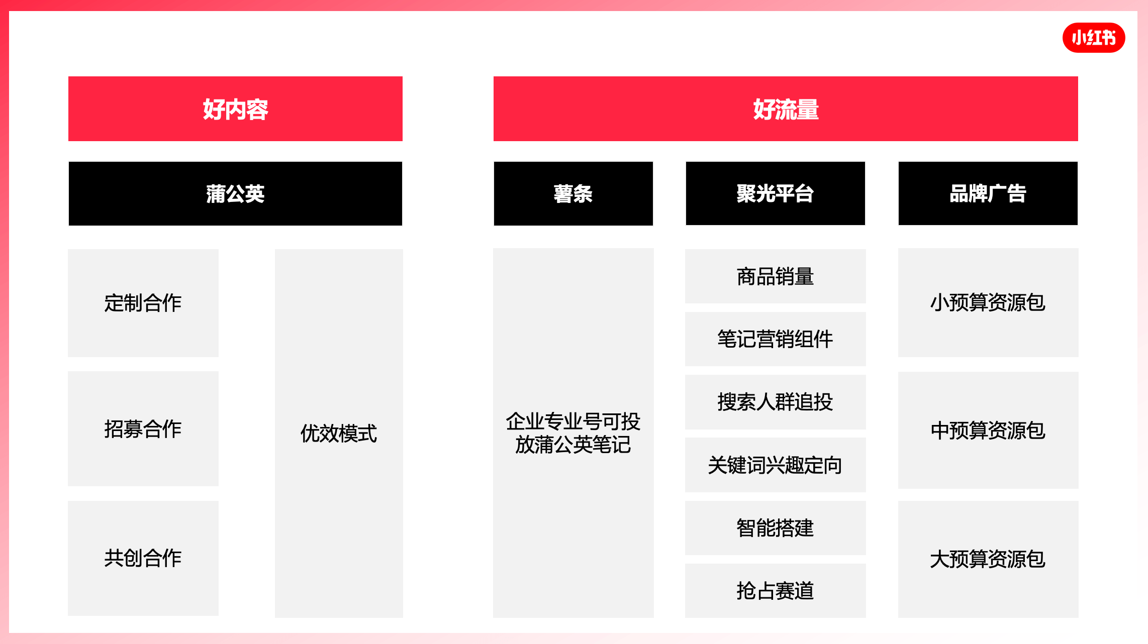 小红书在哪里购买能量