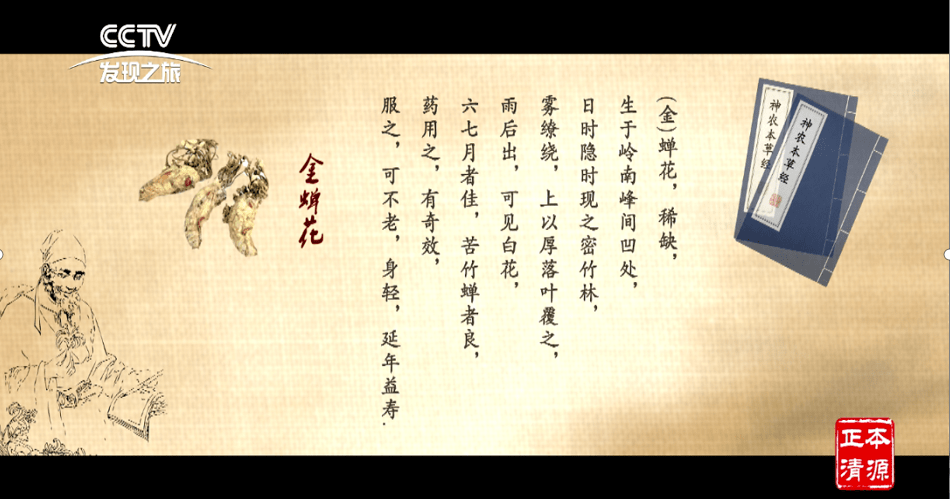 金蝉花的前世今生