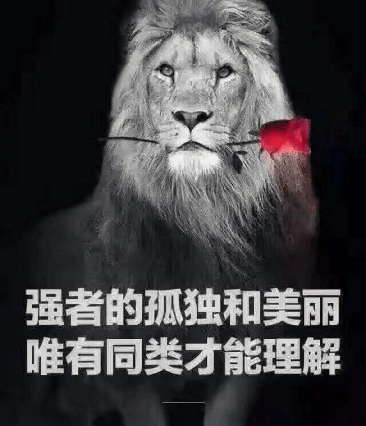 什么是强势文化