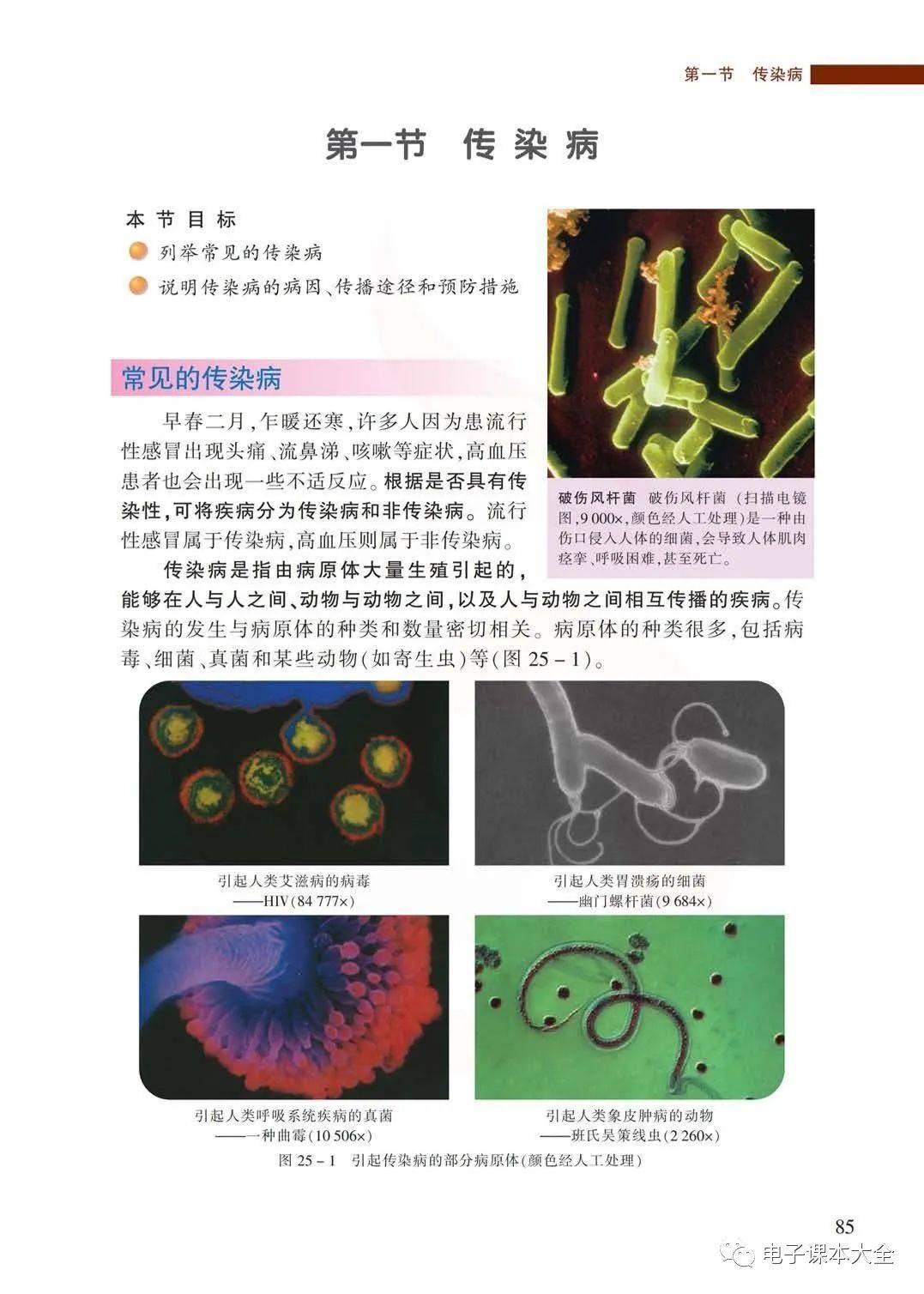苏教版八年级下册生物电子课本教材高清pdf版