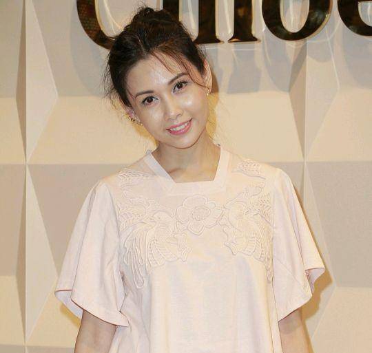 原創九位最美港姐李嘉欣邱淑貞陳法蓉等人你最喜歡哪一位