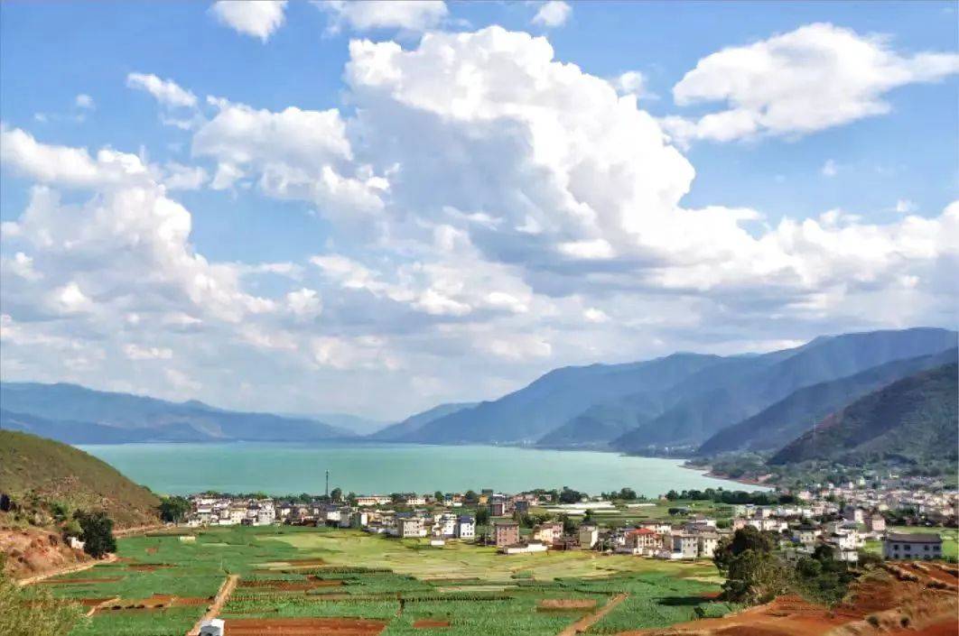 凤凰花开 美醉程海_树种_丽江_永胜