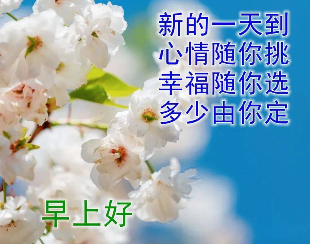 原創8張最新漂亮早上好圖片鮮花帶字帶祝福語最美夏日早安問候祝福