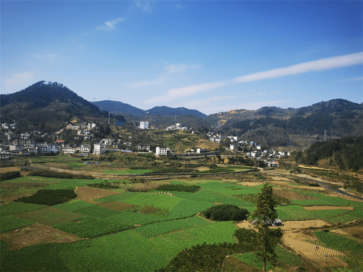 而位于贵阳市修文县东北部的六屯镇正是这样的存在,这里植被良好,山清