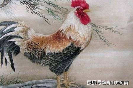 原创绝对不能招惹！残暴狠毒的生肖