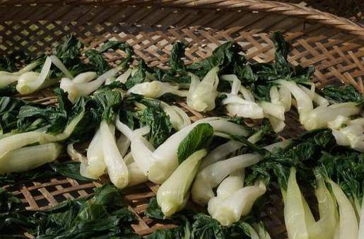 这5种蔬菜晒干之后,比新鲜的还好吃 这5种蔬菜晒干之后,比新鲜的还好吃