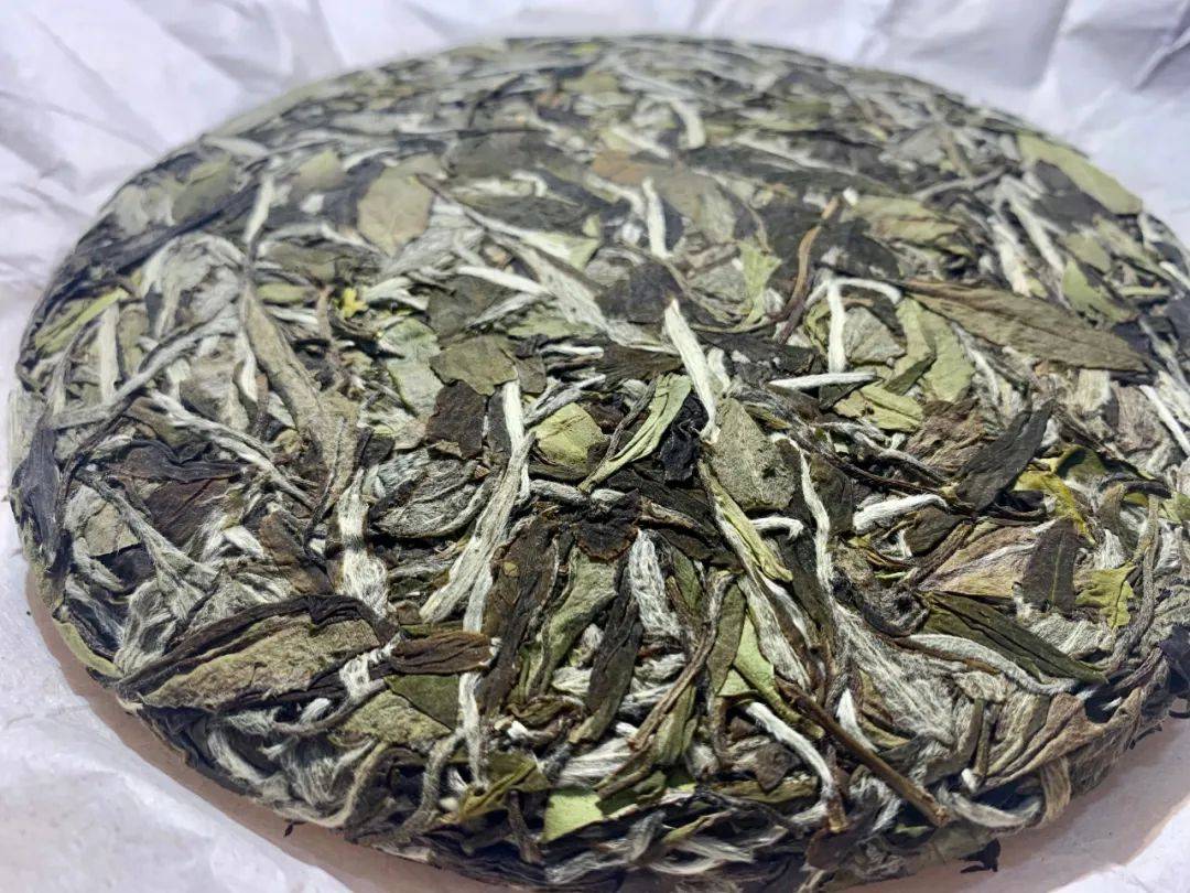 乔掌柜紫砂宜兴白茶冲泡方法攻略这五个层面必须知道