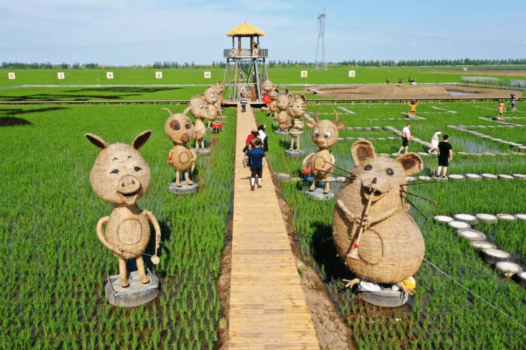 饮马河稻田公园图片