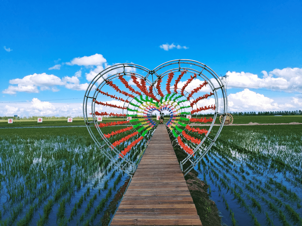 黑河市西岗子镇稻田公园即将开园