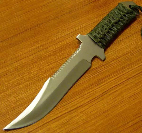 狮子有所弱,世界上进化最失败的猫科_老虎_匕首_牙齿