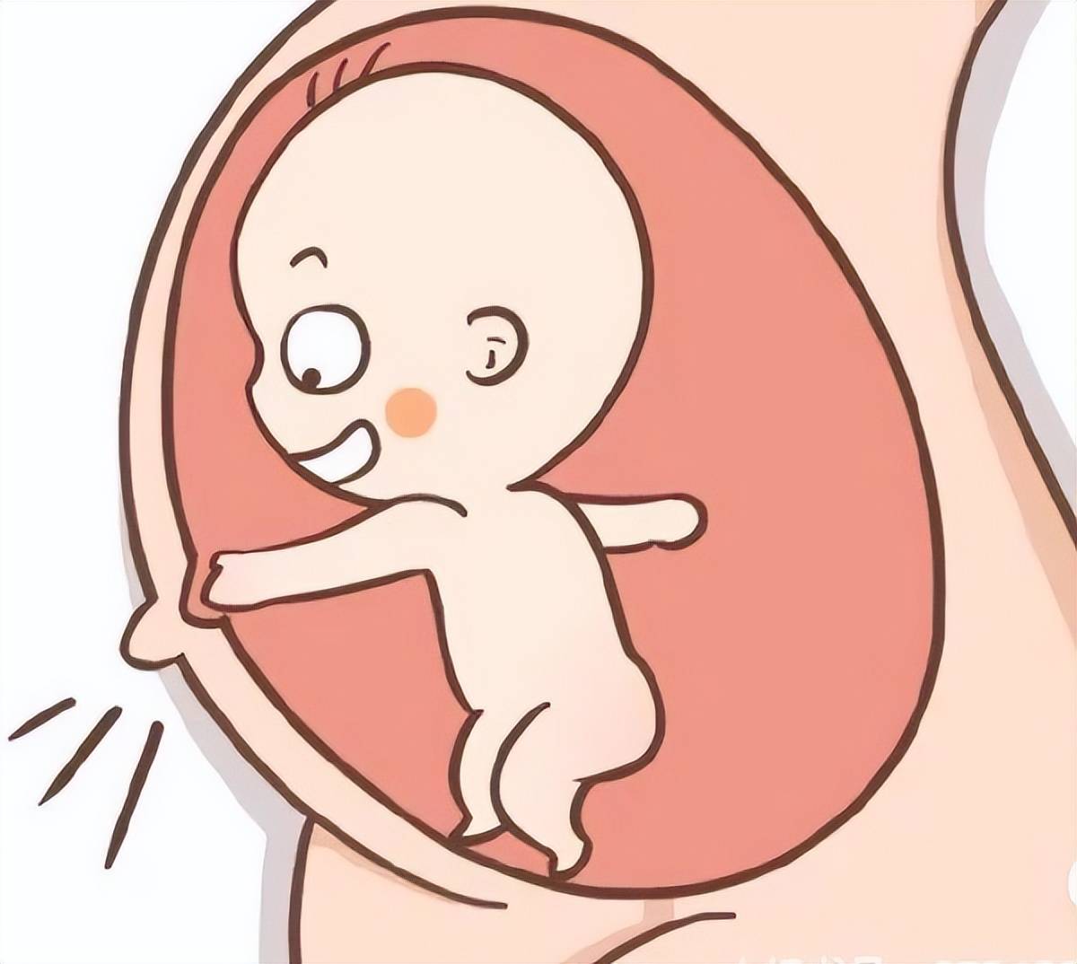 男孩一般几个月有胎动图片