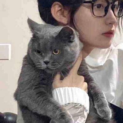 女生抱布偶猫头像图片