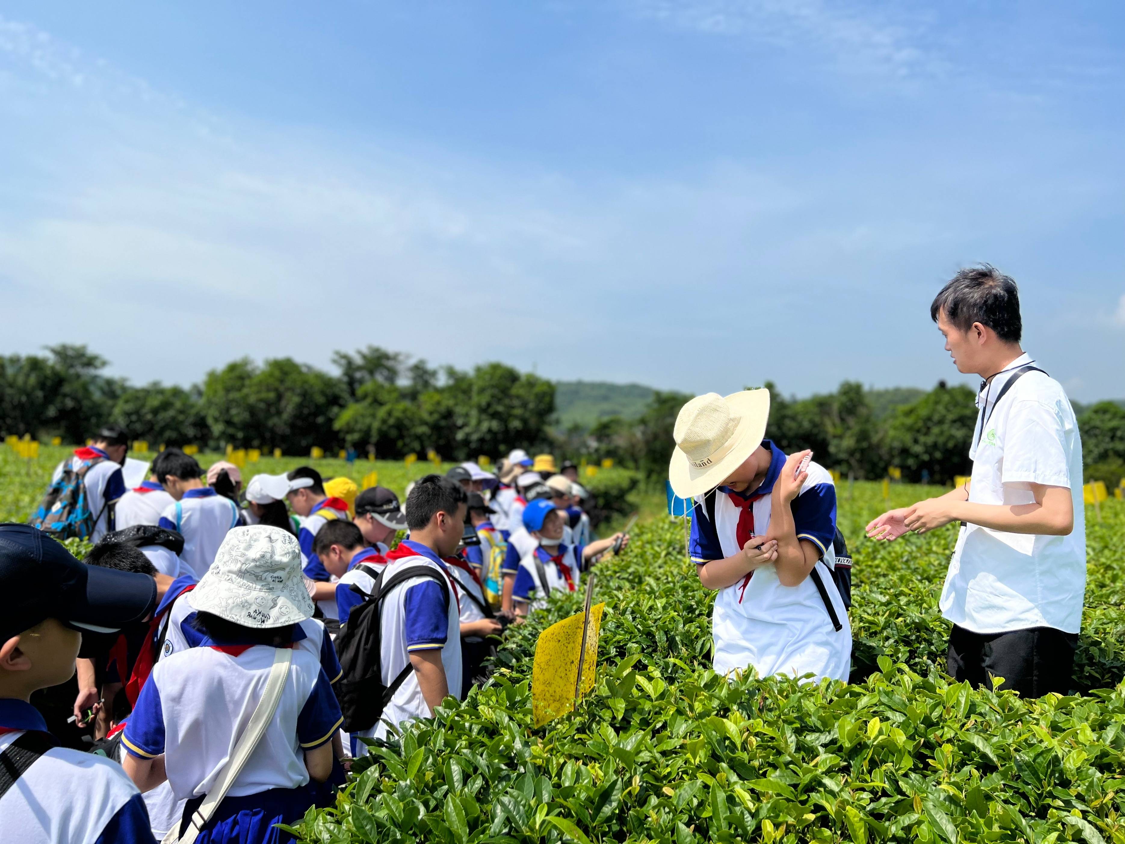 研学旅行图片展示图片