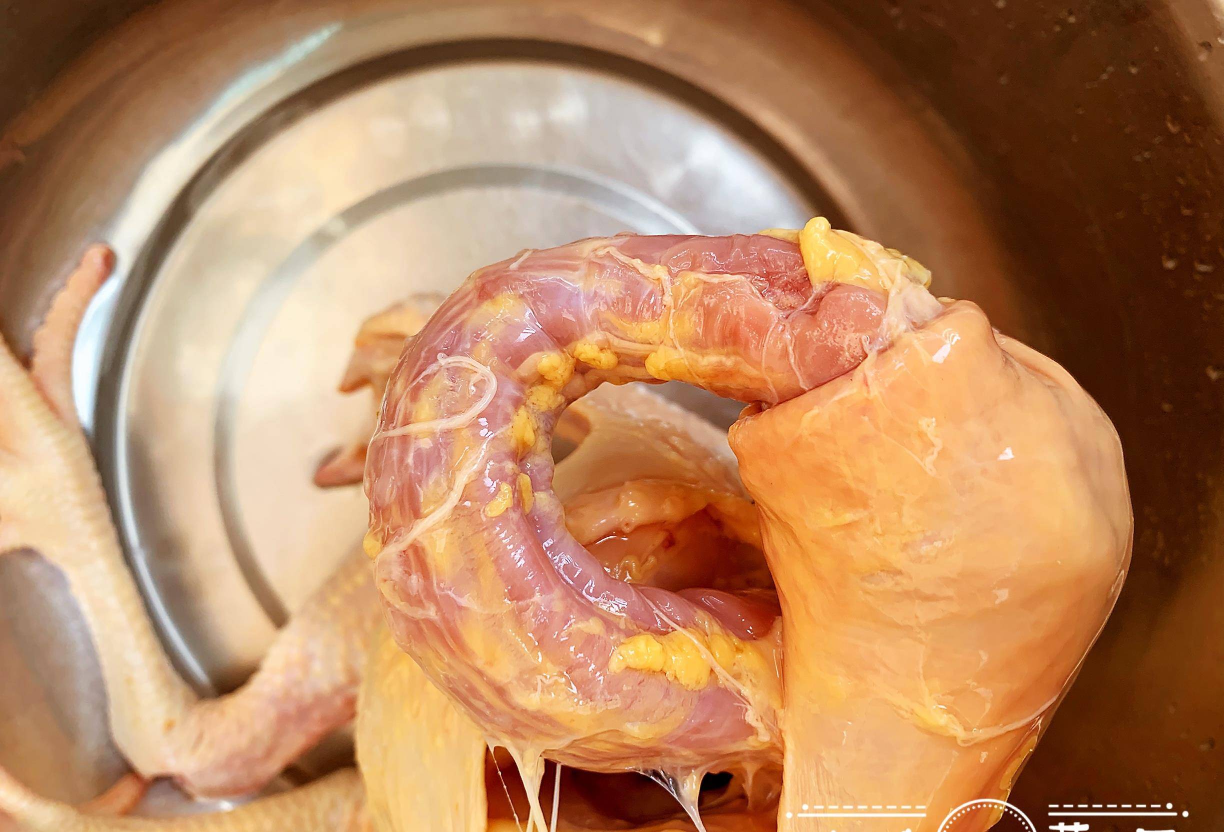 鸡脖子血管位置图片图片