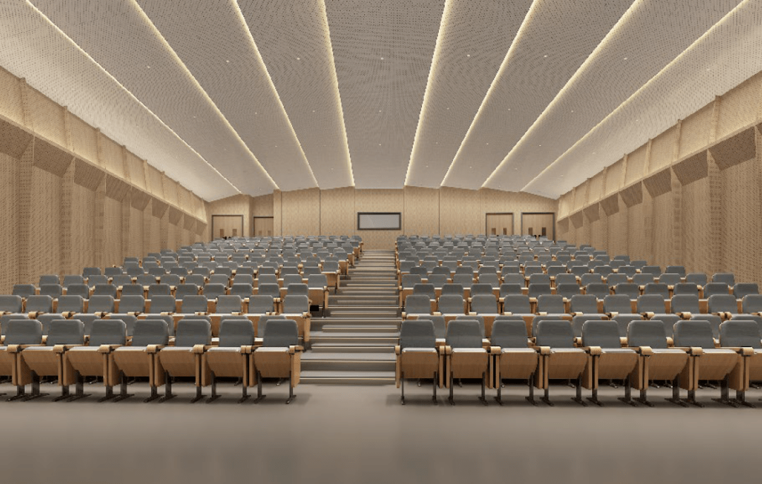 多功能厅体育馆南方科技大学南方科技大学附属中学(高中)凤鸣水岸效果