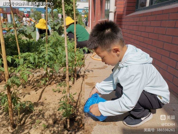 麥黃梅熟仲夏伊始諸城明德托育園中創客班一週精彩活動