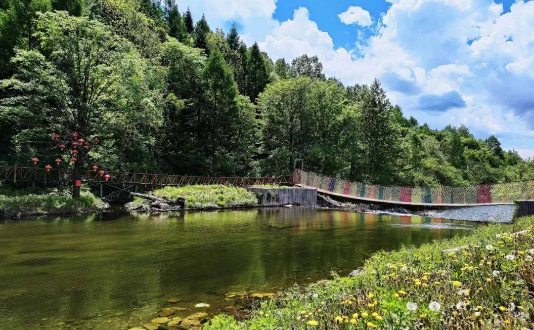 毕业来敦化旅行吧 | 老白山原始生态风景区_神鹿_木屋_旅游