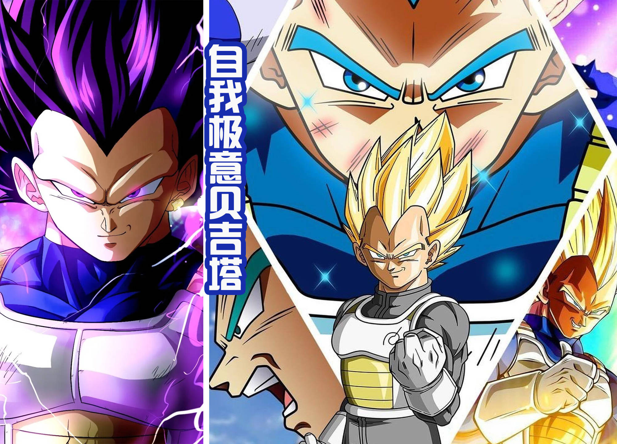 原创六位赛亚人不同的进化之路悟饭和悟空爱白发贝吉塔是紫发