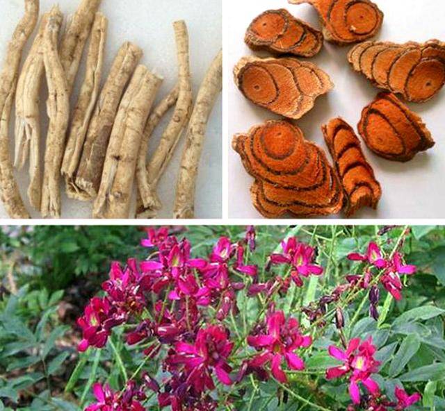 原创农村藤本植物鸡血藤常见但很珍贵网友1斤30元请珍惜