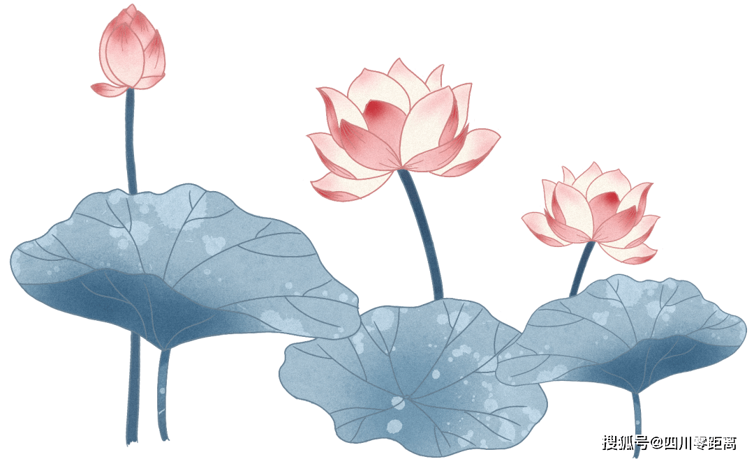 涵养清风正气传承清廉家风绵阳一中初2020级优秀家风建设展示