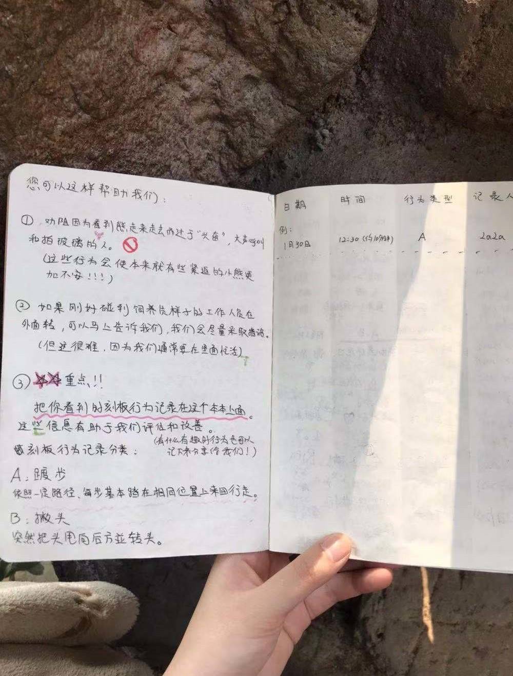 摇头、踱步…出现“刻板行为”的动物们究竟怎么了？_北极熊_游客_环境