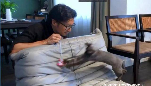 谢霆锋分享"猫奴"生活:穿家居服温馨逗猫_照片_miso_曲奇店