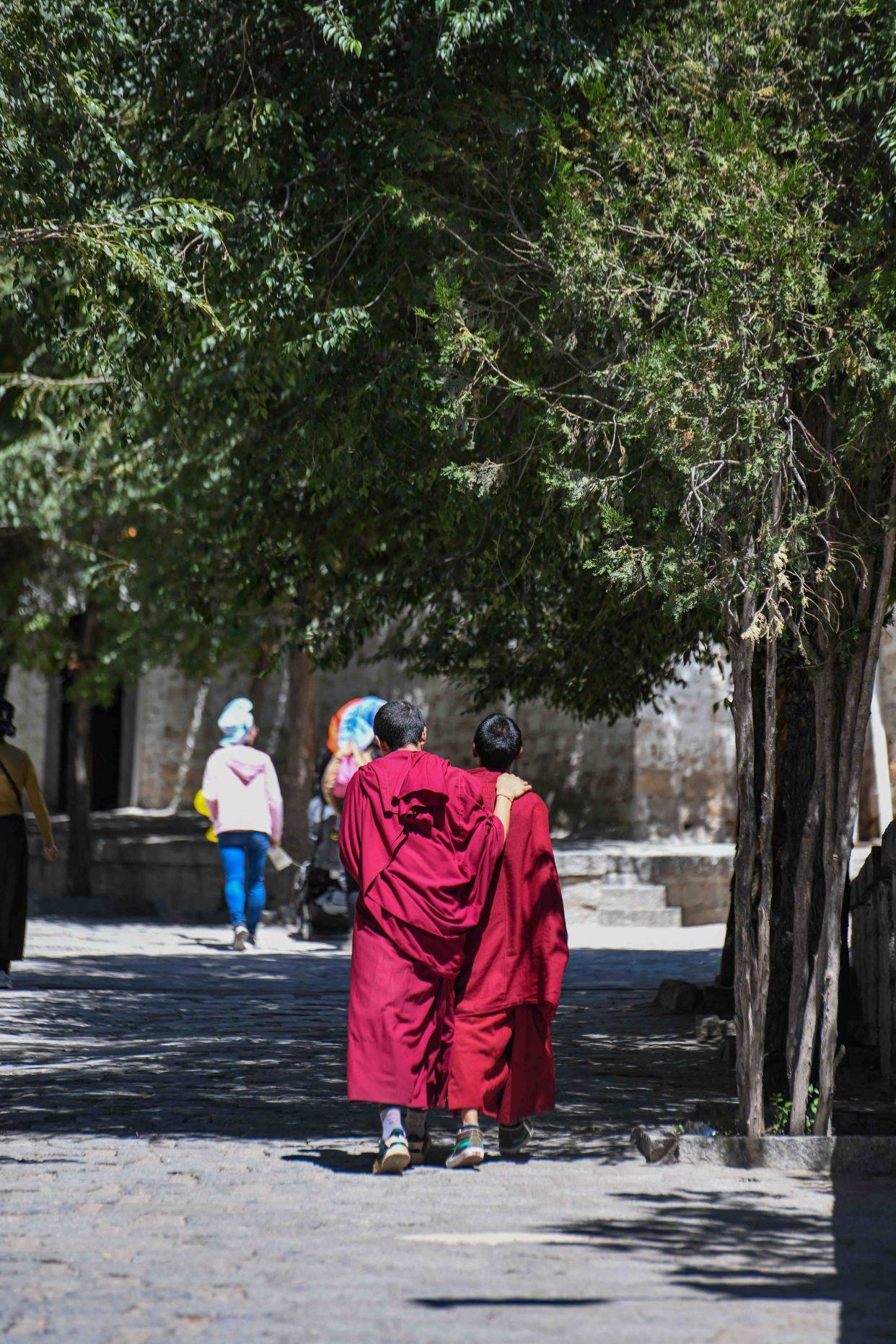 西藏必去！这是拉萨三大寺之一的色拉寺，每天都可以看精彩的辩经