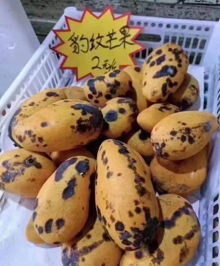 原创
第一次去女朋友家,女朋友妈妈给我做的饭,这有什么含义吗
