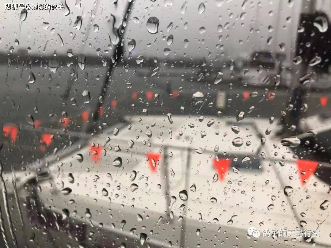 天气 从来都不可预测 天气不好 容易晕船 难受 感觉 颠簸 海上航行