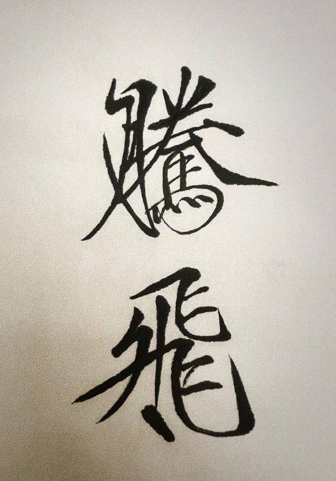 原创女神王珞丹瘦金体腾飞冲上热搜其硬笔书法也非常精彩