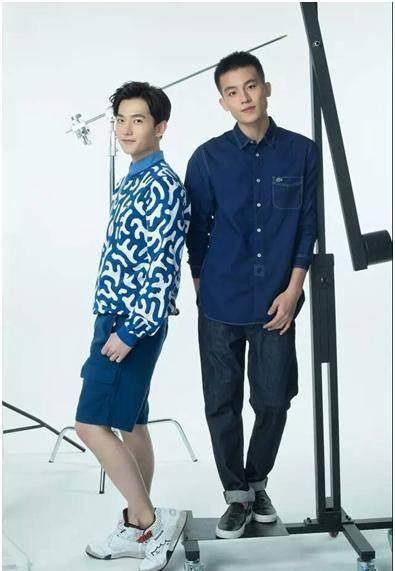 风格迥异的杨洋欧豪王凯张鲁一为何被同一个导演看上