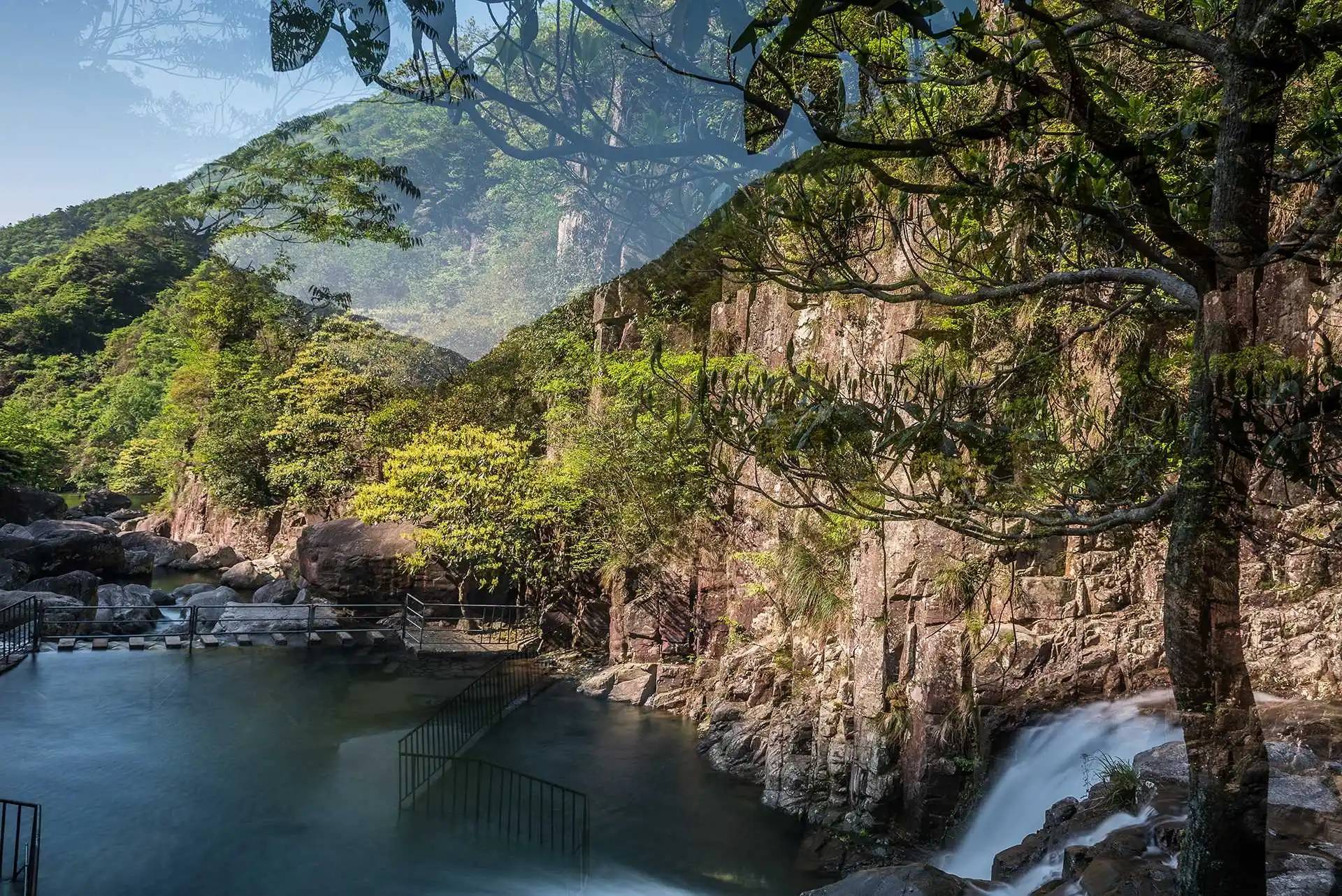 浙江一座受欢迎的山，动植物种类繁多，珍稀物种荟萃