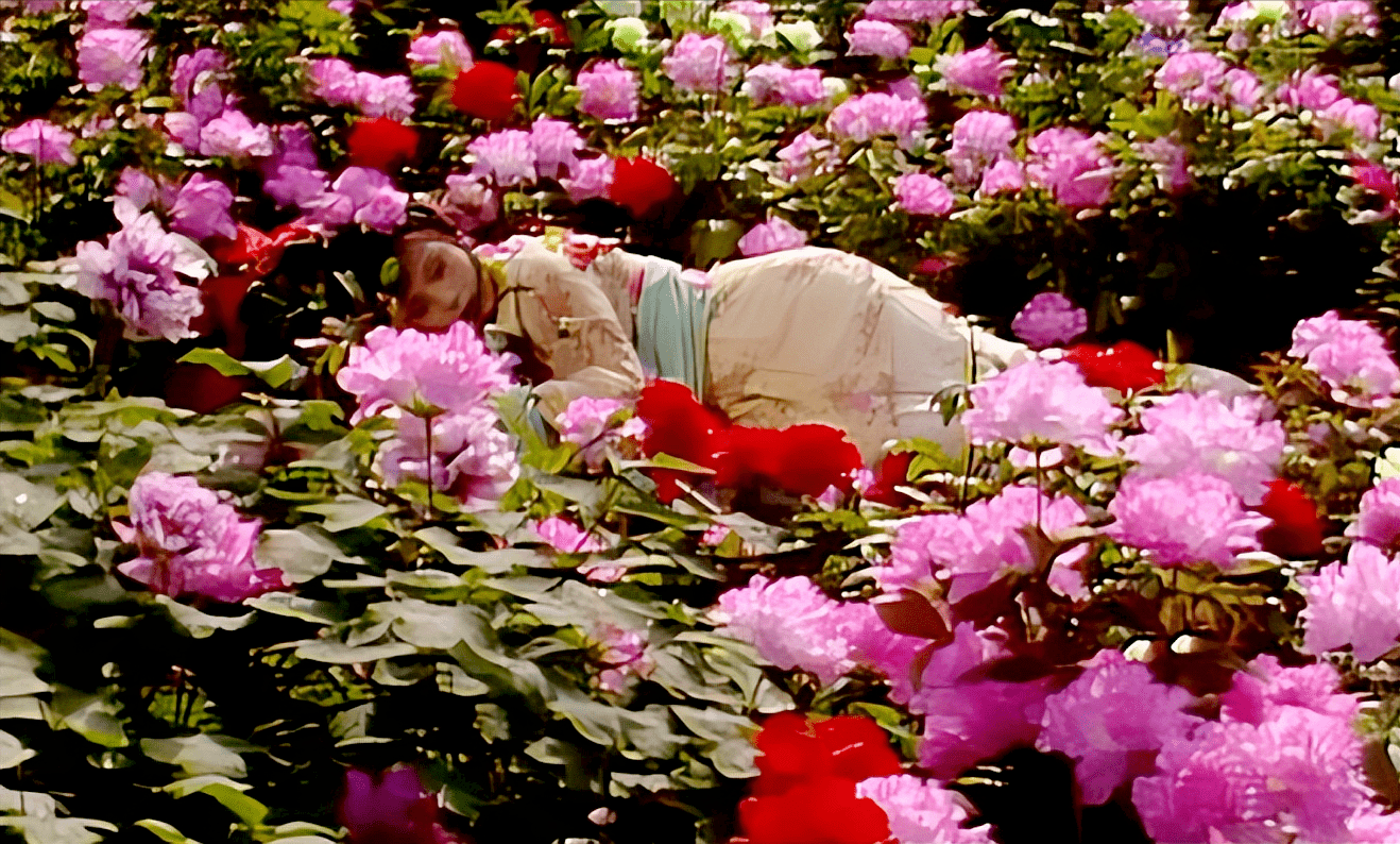 同样演湘云醉卧87版史湘云与10版史湘云一比差别就出来了