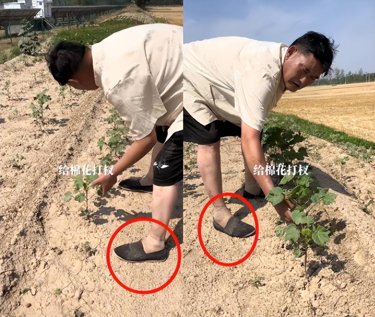 哥对穿着也是不讲究的,如此好看的唐装,他却搭配了一条松垮的黑色短裤