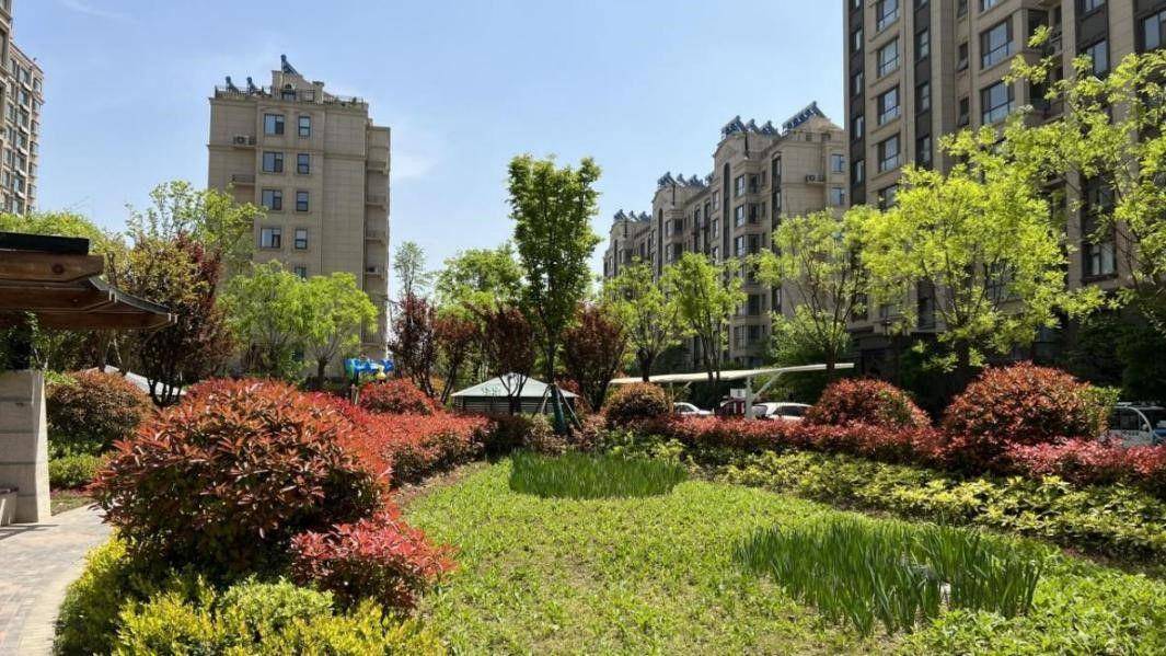 临沂经开城投·德馨园 揽一城繁华 享人居大境