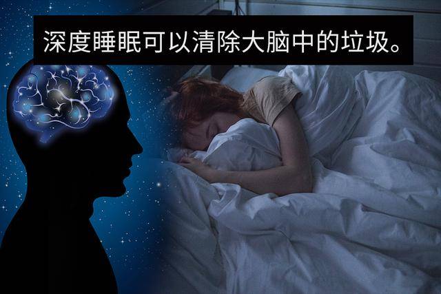 给大脑排毒睡个好觉太重要