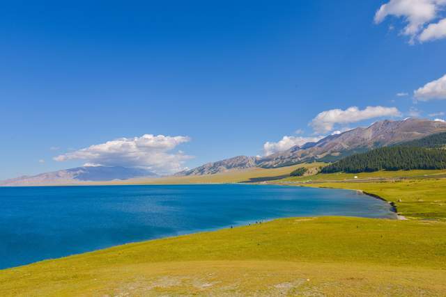 新疆赛里木湖，夏天水草丰美，绿意盎然的风景太美了