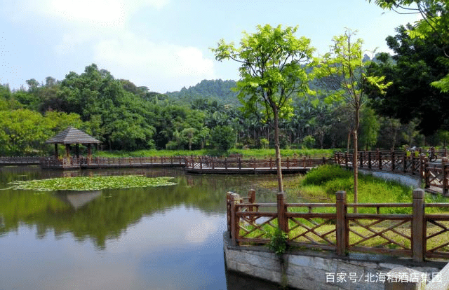 大夫山森林公园一日游攻略