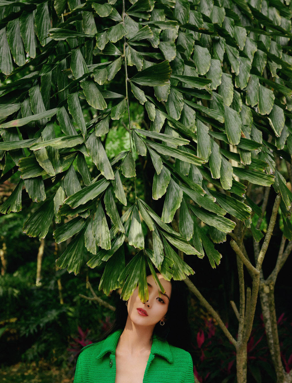 也有网友忍不住调侃,满头都是绿,是不是在暗示着什么.