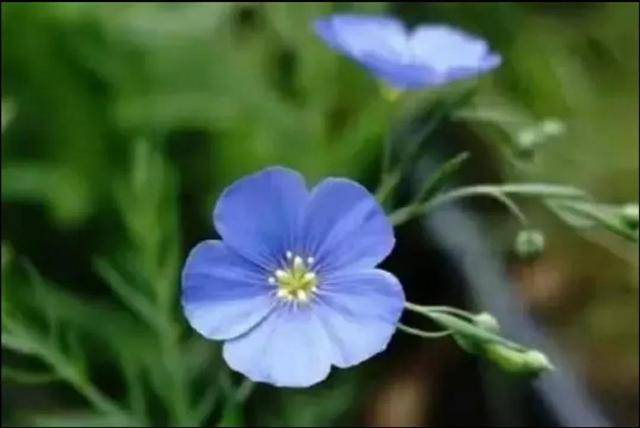 最新星力9代客服微信知晓