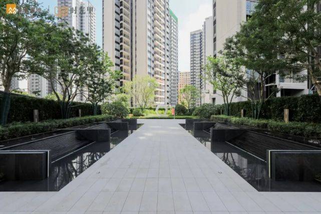 时光里示范区美好绽放唤醒一座城市的美好想象