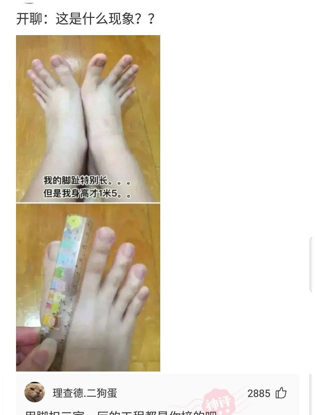 原创
“楼上的邻居玩得挺嗨啊!”哈哈哈一看就是肛肠科vip用户了