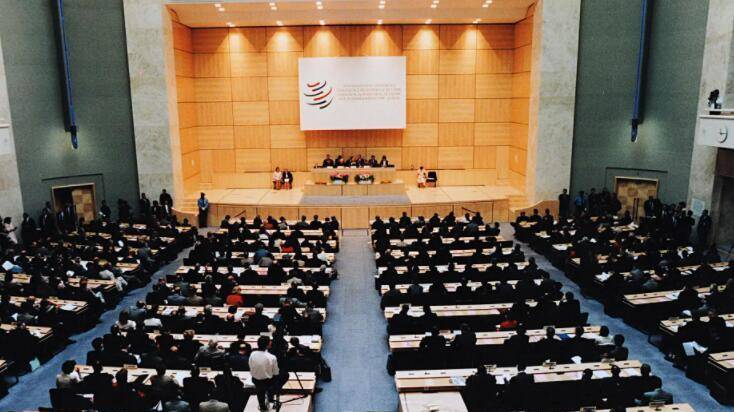 原创时隔两年多wto通过重要共识华盛顿被迫让步被自定规则打败